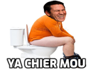 other-cher-champions-league-chiottes-ldc-olympique-bayern-toilette-toilettes-moy-mou-aulas-lyonnais-chier-yachermoy-ol-garcia-ya-lyon-supporter
