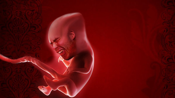 renaissance 54 kirby reborn