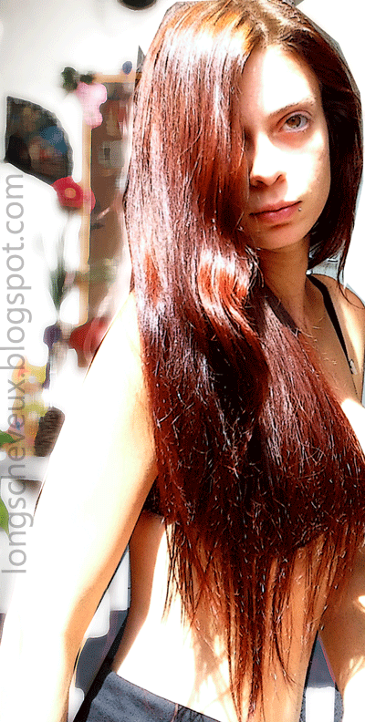 politic virginie catholique vota