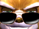 lunettes-fox-amuse-zoom-starfox-tinnova-assault-sourire-malin-dents-mccloud-sunglasses-noires
