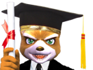 master-maitrise-bulletin-universite-starfox-diplome-phd-ecole-mccloud-reussite-fox-etudes-content-doctorat-etudiant-tinnova-licence-assault