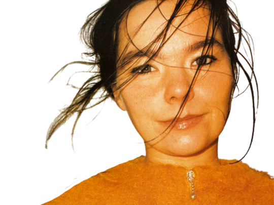 chanteuse musique bjork pop music chant