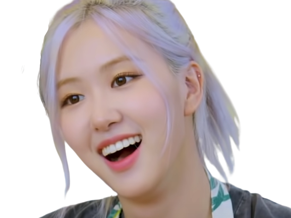 rose kpop chanson risitas