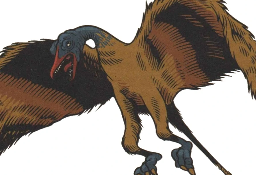 fic poiseau skissoul risitas