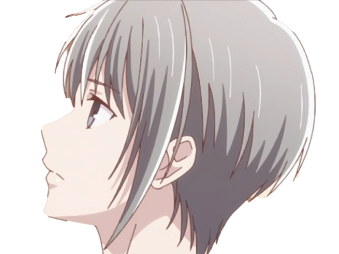 basket kikoojap yuki jamais prince plus fruit