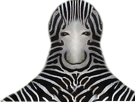 other-erbezel-paix-zebre