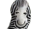 erbezel-other-zoom-zebre