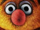 fozzie-other-muppet-bear-yeux-creepy-show-zoom