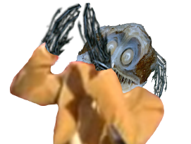 rireslimkane poisson bras risitas abysse jesus