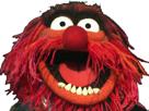 show-other-animal-muppet
