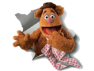 other-muppet-fozzie-bear-show-dechire