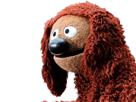 rowlf-dog-other-the-show-muppet