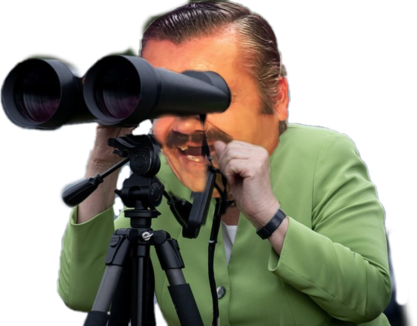 surveiller regarder voir risitas jumelles