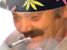 cannabis-drogue-joint-risitas
