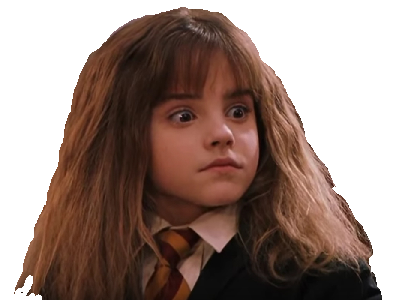 hermione potter jvc poudlard hp