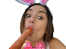 lapine-pipe-fellation-reroll-lapin-other-carotte-suce-blowjob-nsfw