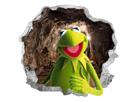 kermit-cave-show-mine-frog-the-muppet-other