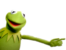 other-kermit-frog-the