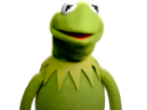other-frog-kermit-the-perplexe