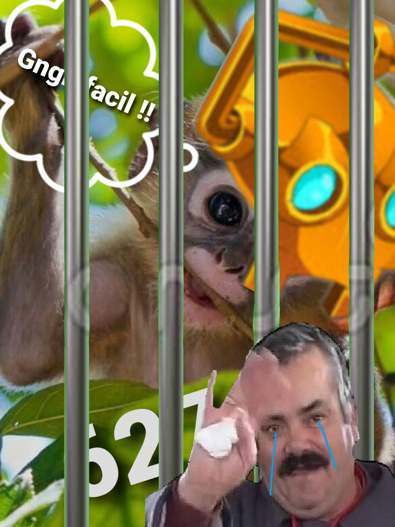 risitas robite banni robinet