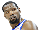 other-golden-durant-warriors-state-basketball-kevin-nba-snake