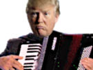 trump-politique-risitas-musicien-accordeon-usa-debat-president