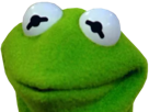 kermit-ok-the-other-frog-zoom