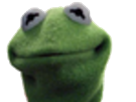 kermit-zoom-other-the-hautain-frog
