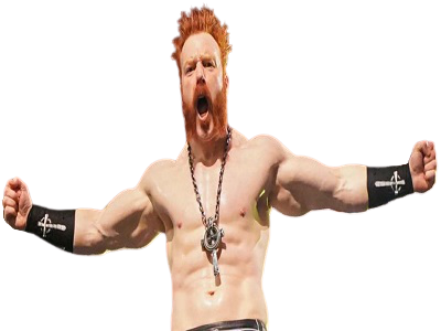 sheamus wwe lesnar504