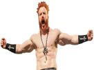 sheamus-wwe-other-lesnar504