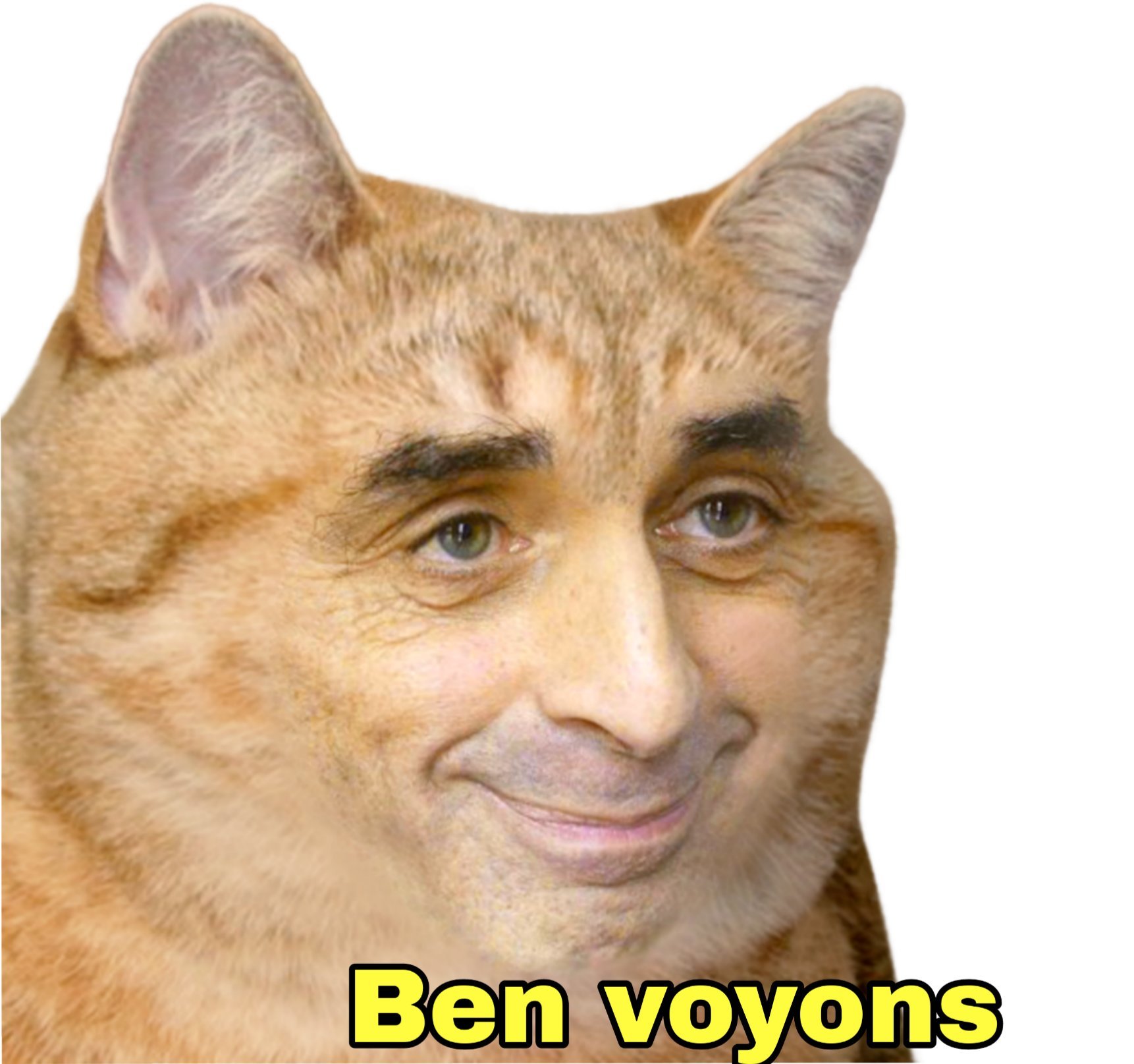politic voyons eric ben cnews chat zemmour