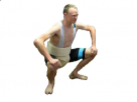 froome risitas japon sumo