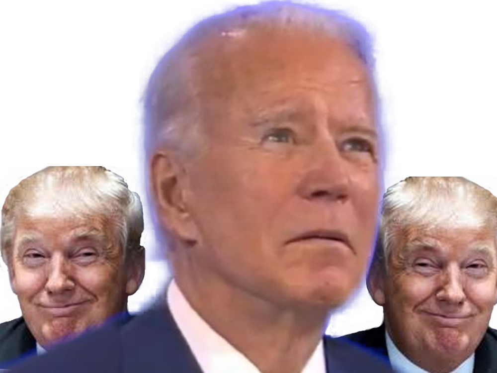 politic trump usa biden
