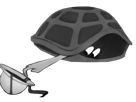 bert-duckandcover-tortue-other-turtle