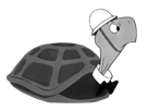 bert-other-tortue-duckandcover-turtle