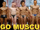 ifbb-go-bodybuilding-risitas-competition-musculation-delavier-gundill-muscu