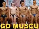delavier-ifbb-musculation-bodybuilding-muscu-gundill-go-risitas-competition