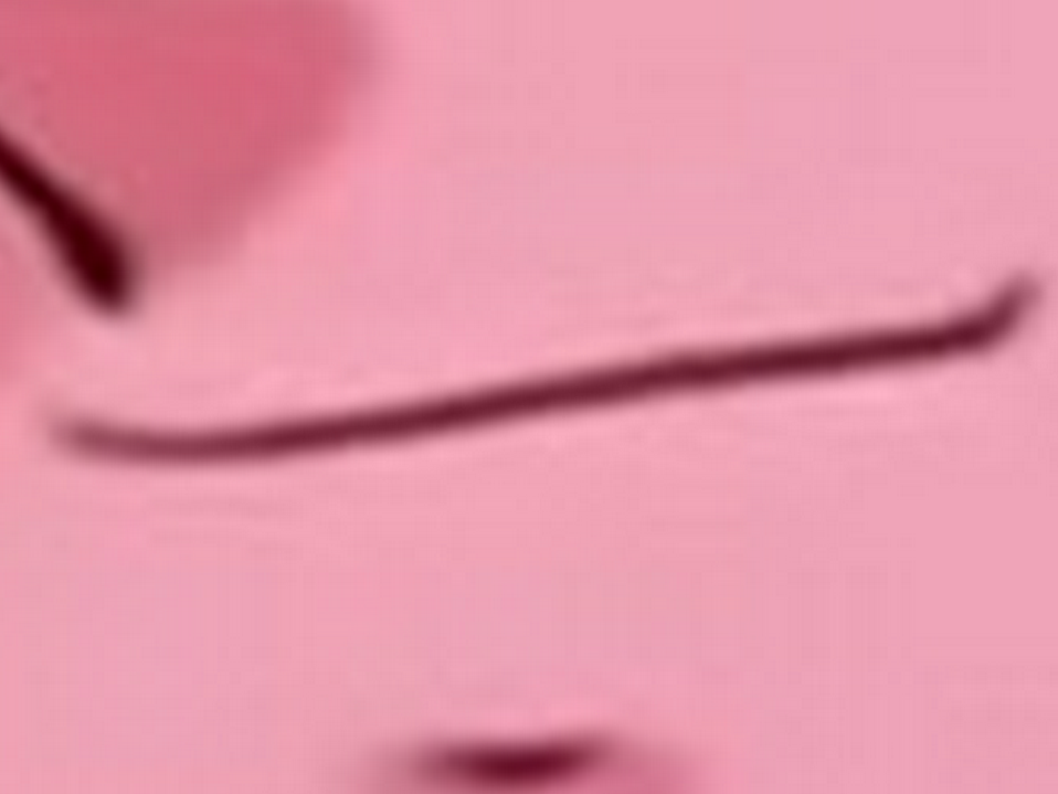 andromede kikoojap seiya shun