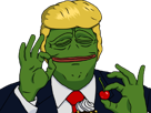 4chan-president-trump-pep-pepe-potus-ok-kek-frog-usa