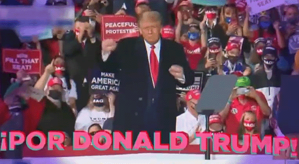 politic hispanique ipor danse trump