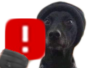 noir chien ddb risitas