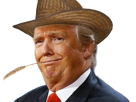 donald-fermier-trump-cowboy-politic
