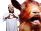 arabe-qlf-chevre-goat-islamiste-zoophile-other