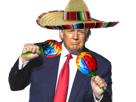 trump-quotidien-voy-2020-other-danse-maga-sombrero-por-votar-mexique-donald-a-maracas-gauchiste-yo
