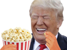 politic-trump-donald-popcorn-us