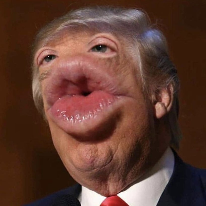 risitas blond levre trump