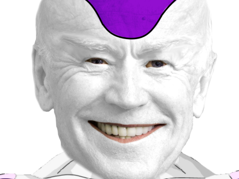 biden politic freezer zoom dbz