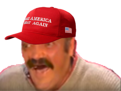 maga fraude martial other court risitas swinguer