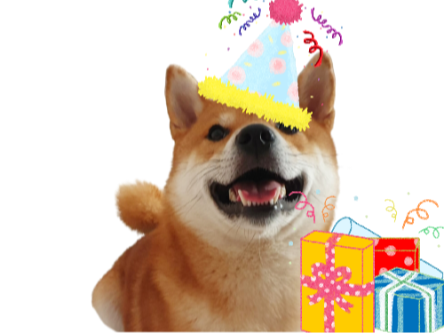 inu odin chien fete shiba