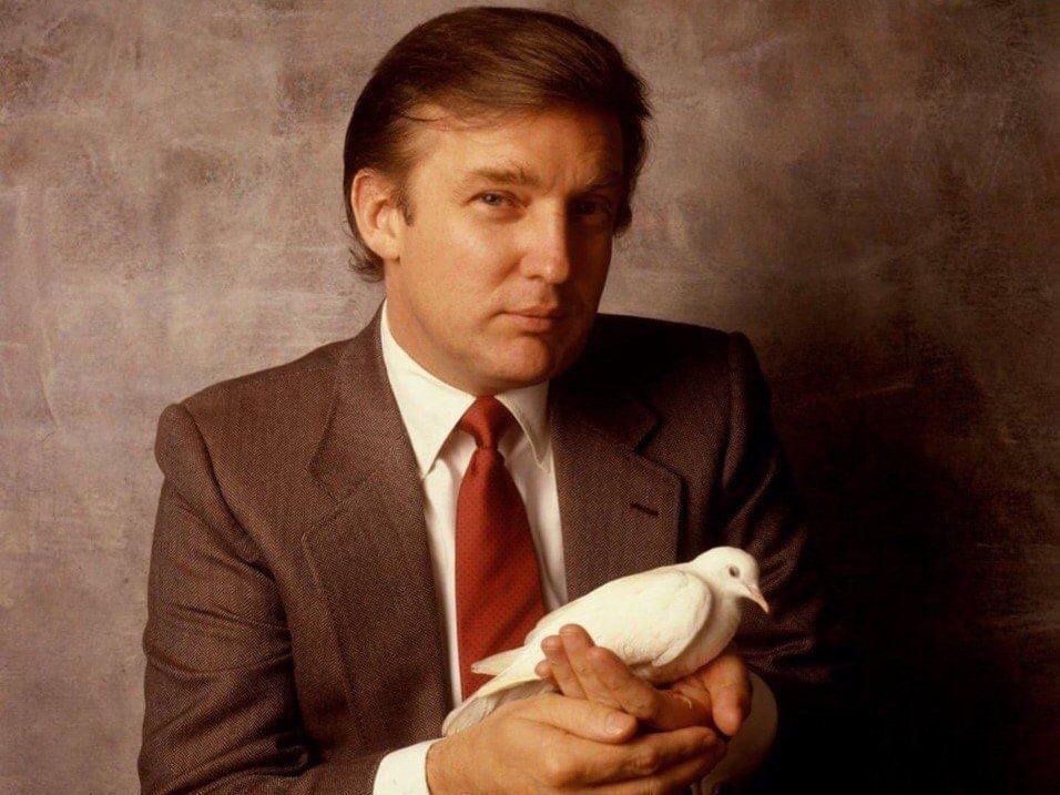 trump politic colombe paix